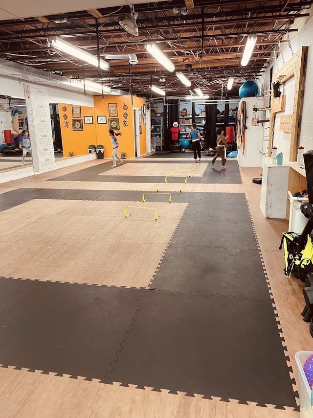 6 Tigers Academy